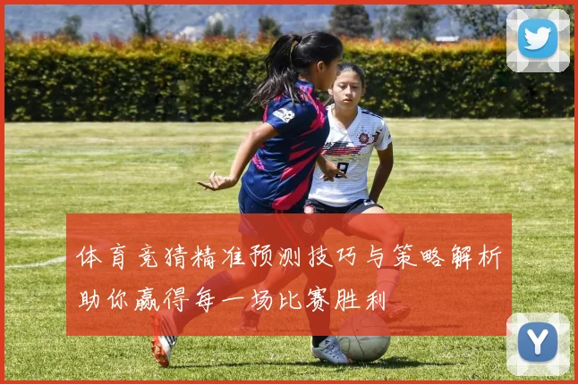 体育竞猜精准预测技巧与策略解析助你赢得每一场比赛胜利