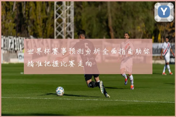 世界杯赛事预测分析全面指南助你精准把握比赛走向