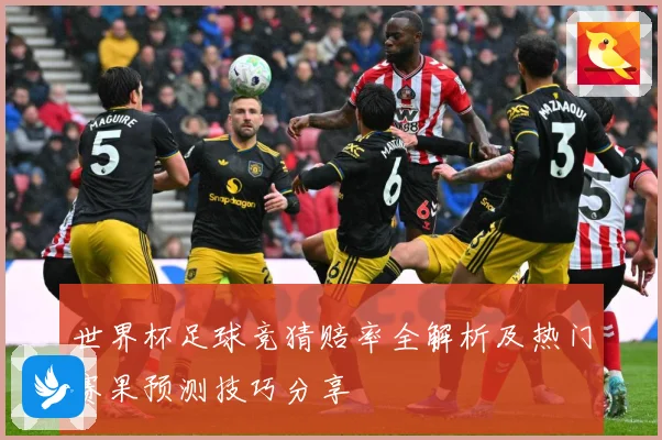 世界杯足球竞猜赔率全解析及热门赛果预测技巧分享