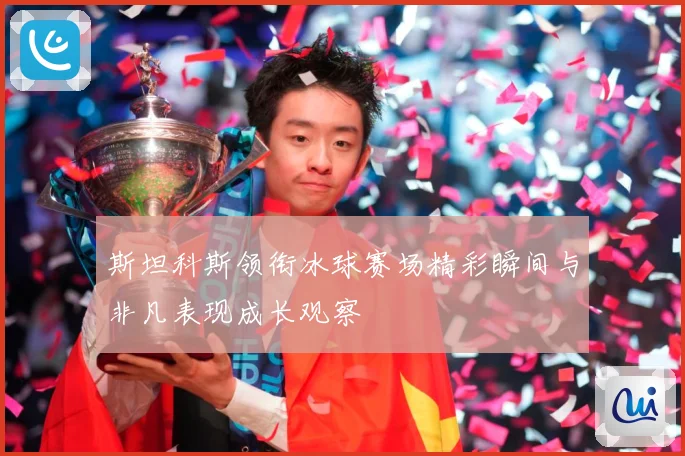 斯坦科斯领衔冰球赛场精彩瞬间与非凡表现成长观察