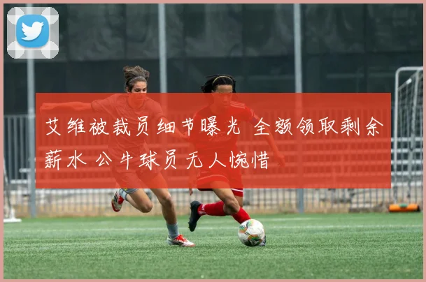 艾维被裁员细节曝光 全额领取剩余薪水 公牛球员无人惋惜