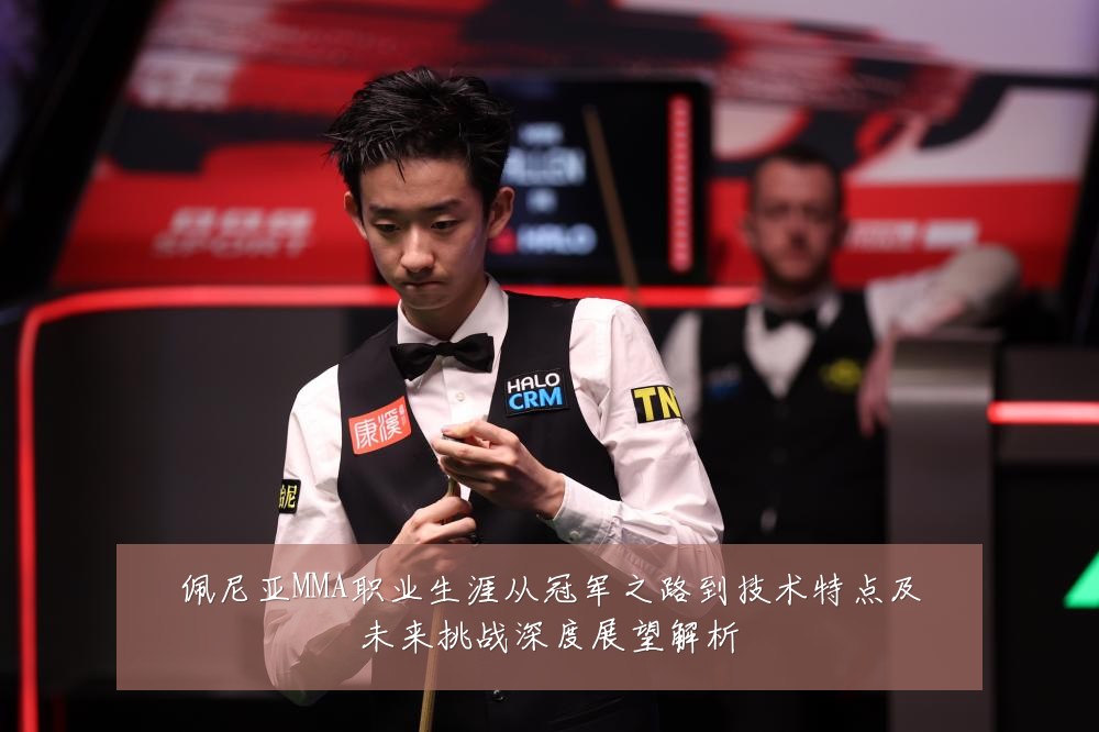 佩尼亚MMA职业生涯从冠军之路到技术特点及未来挑战深度展望解析